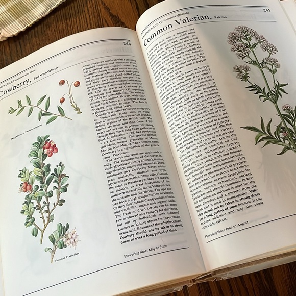 The illustrated book of herbs, their medicinal and culinary uses hard cover - Picture 8 of 14